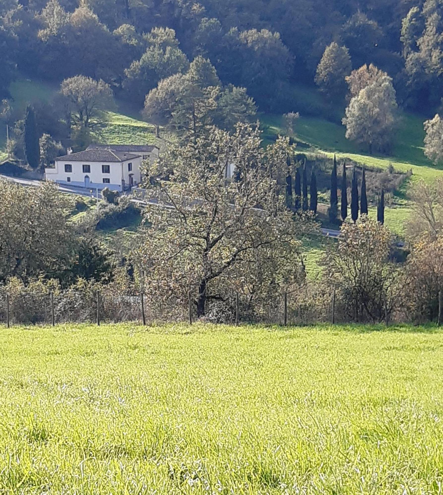 Casa Al Miglio Villa Pratolino Buitenkant foto